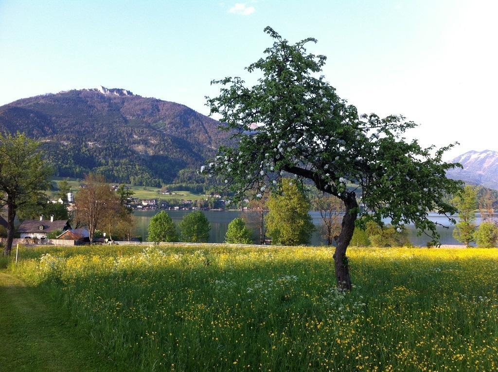 Haus Schoenblick Leilighet Strobl Eksteriør bilde
